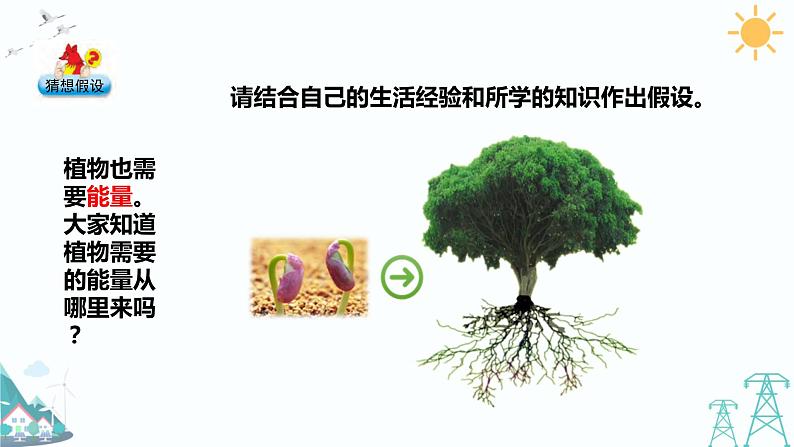大象版五年级下册科学 4.3《植物的“食物”》课件PPT03
