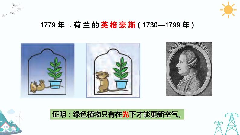 大象版五年级下册科学 4.3《植物的“食物”》课件PPT07