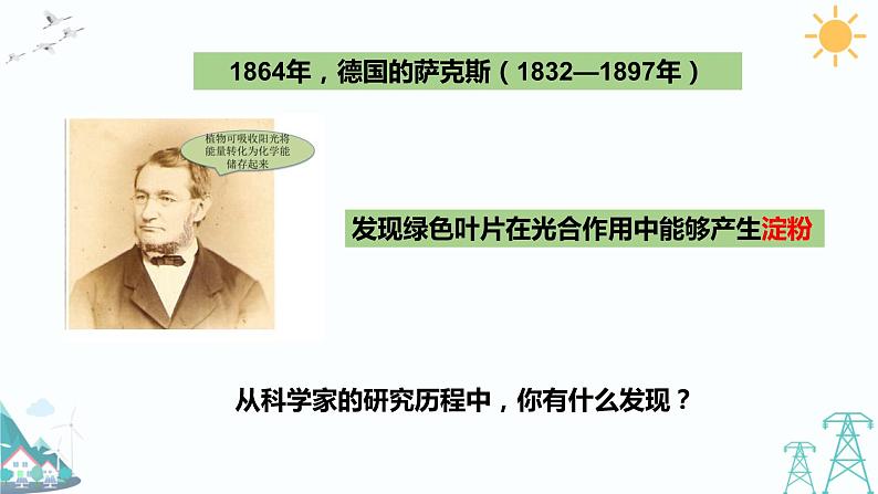 大象版五年级下册科学 4.3《植物的“食物”》课件PPT08