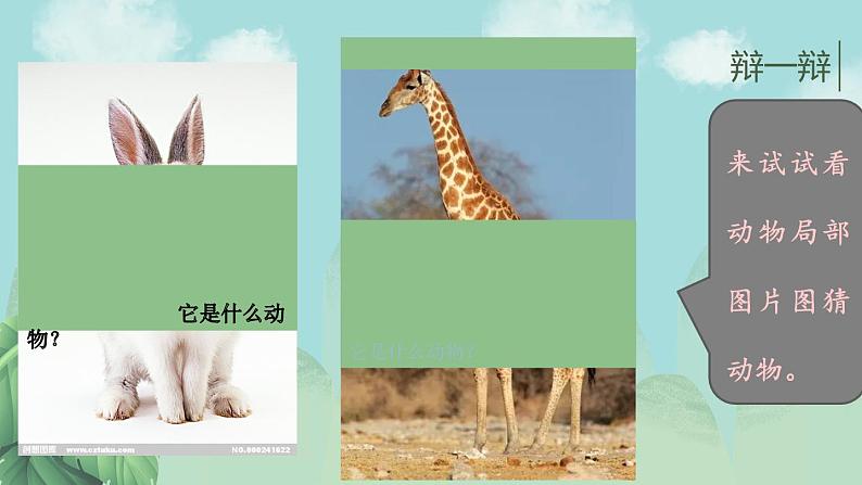 一年级下册科学课件 - 4.10 形形色色的动物 - 苏教版(共20张PPT)第8页