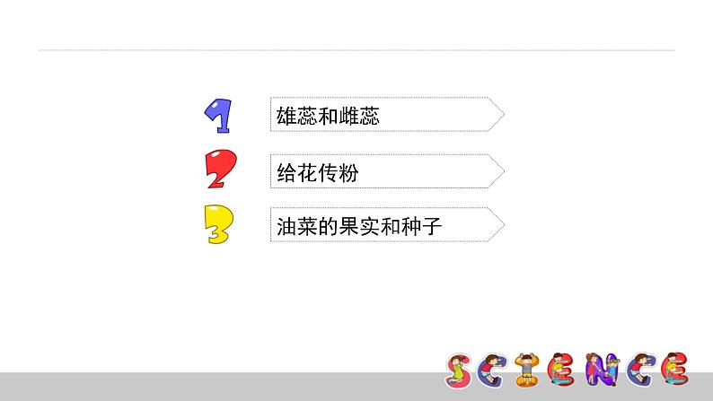 教科版科学四年级下册第二单元 新的生命 2.3 花、果实和种子 备课PPT课件02