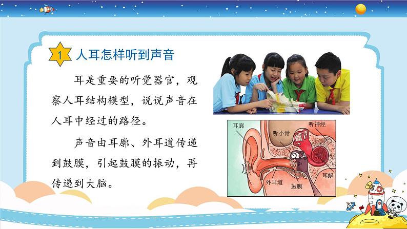 新冀人版四上科学2.9《怎样听到声音》授课课件第8页