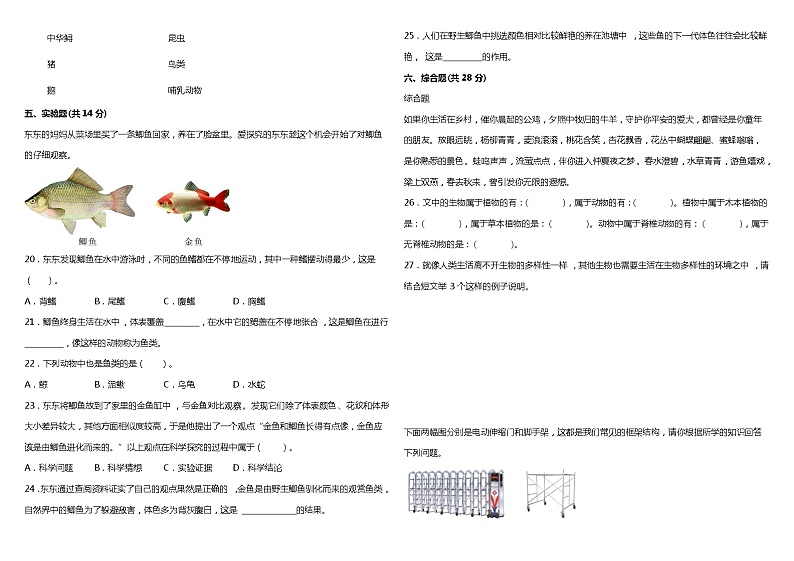 2022年科教版小学科学六年级下册期中阶段模拟评价卷(含答案)第2页
