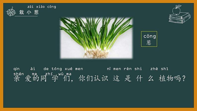 7.栽小葱第2页