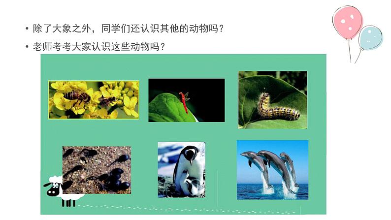 一年级下册科学课件-4.10 形形色色的动物50-苏教版 10张第4页