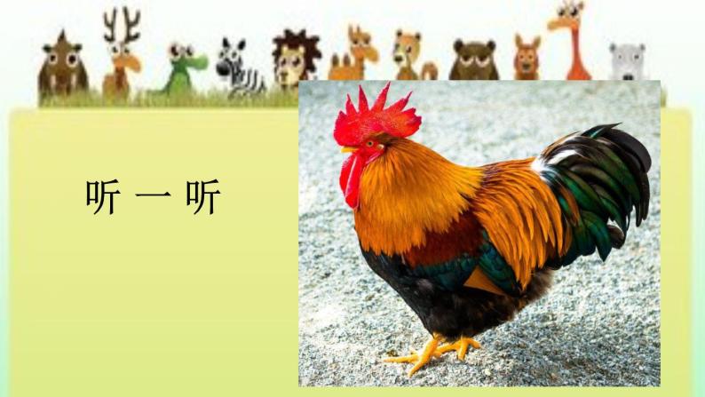 一年级下册科学课件-4.10 形形色色的动物 - 苏教版（共18张PPT） (1)02