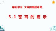 小学科学大象版 (2017)五年级下册1 苍耳的启示习题课件ppt
