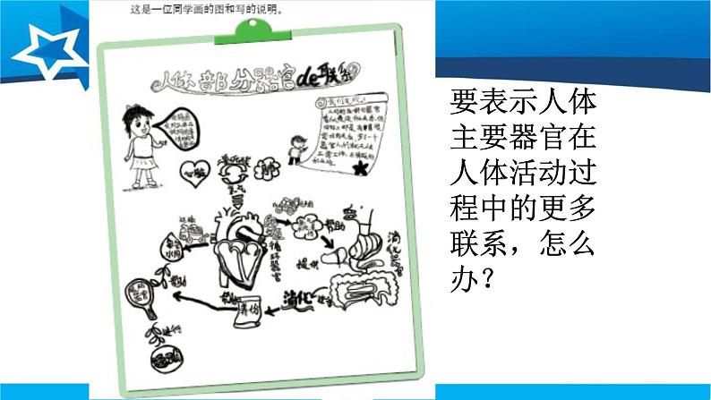 教科版科学四年级上册第四单元 《我们的身体》4.6 互相协作的人体器官 PPT教学课件06