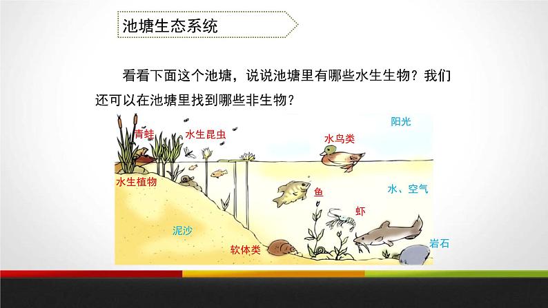 教科版科学五年级上册 第一单元生物与环境 1.5 做一个生态瓶 教学PPT课件第3页