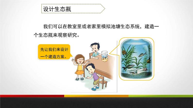 教科版科学五年级上册 第一单元生物与环境 1.5 做一个生态瓶 教学PPT课件第6页
