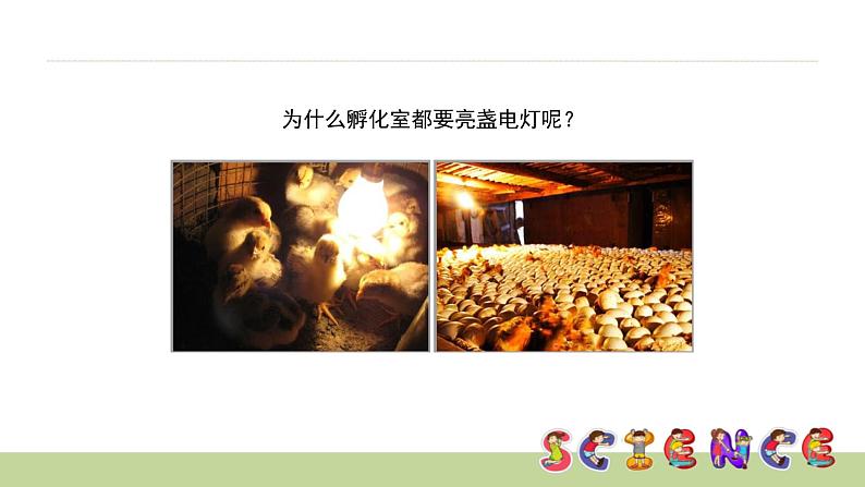 教科版科学五年级上册 第二单元 光 2.5 光与热 教学PPT课件第2页