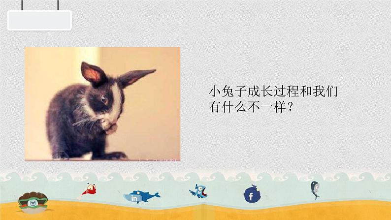 一年级下册科学课件-4.12 动物 人17-苏教版 15张第6页