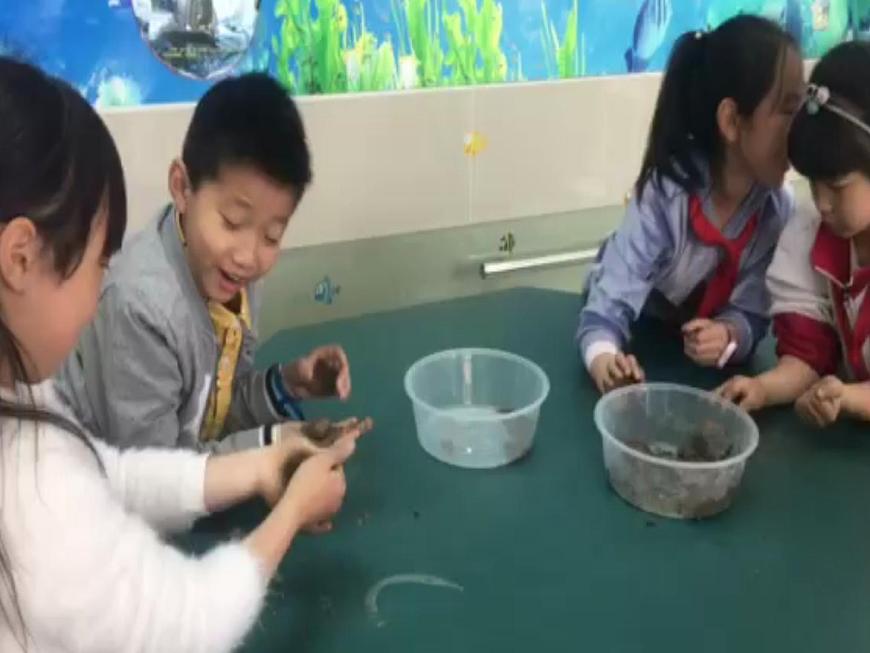 小學(xué)科學(xué)蘇教版一年級下冊 2玩泥巴 課件第1頁