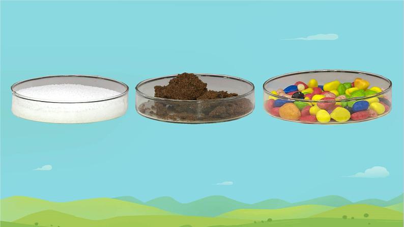 小学科学教科版一年级下册 6它们去哪里了 课件第3页