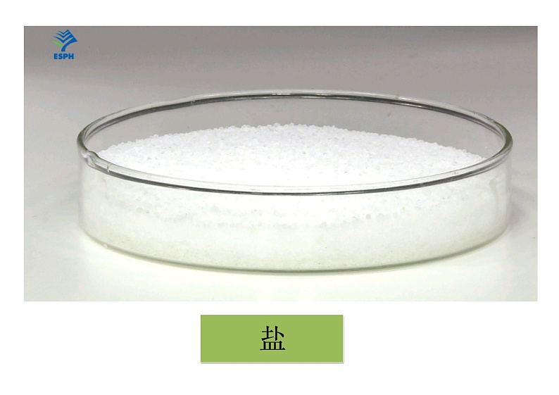 小学科学教科版一年级下册 6它们去哪里了教案第1页