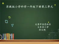 小学科学苏教版一年级下册 7找空气 1 课件