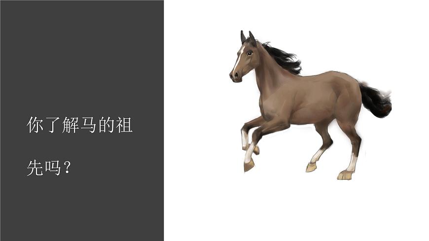【視頻引導(dǎo) PPT】冀人版六上第1單元第4課-生物的演變第2頁
