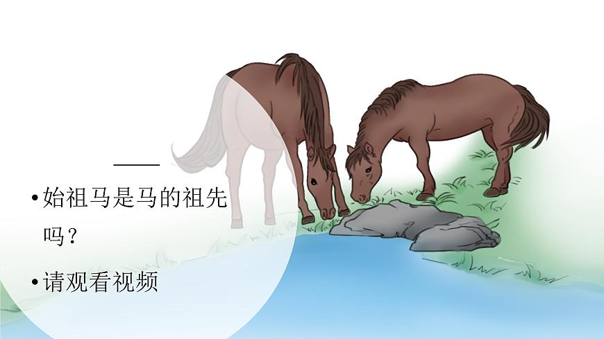 【視頻引導(dǎo) PPT】冀人版六上第1單元第4課-生物的演變第3頁