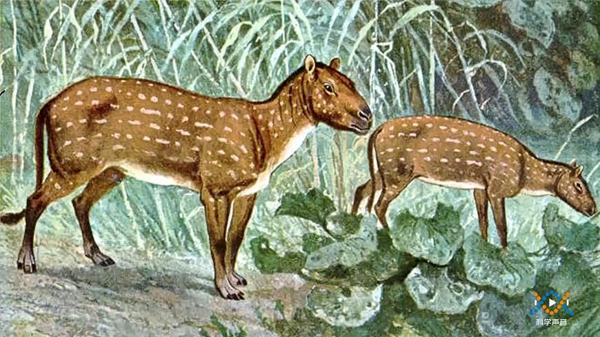 【視頻引導(dǎo) PPT】冀人版六上第1單元第4課-生物的演變第4頁
