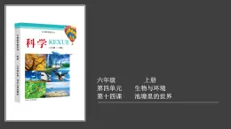 冀人版六上第4單元第14課-池塘里的世界 視頻資料+視頻引導PPT