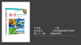 冀人版六上第5單元第21課-廢物再利用  視頻引導PPT+視頻資料