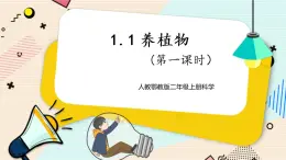 人教鄂教版二上科學(xué) 1.1《養(yǎng)植物》 第一課時課件+教案+內(nèi)嵌式視頻