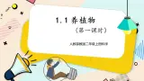 人教鄂教版二上科学 1.1《养植物》 第一课时课件+教案+内嵌式视频