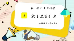 人教鄂教版一上科学1.2《袋子里面有什么》授课课件+内嵌式音视频资料