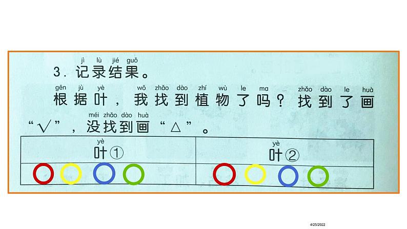 小学科学 教科版 一年级上册 这是谁的叶 部优课件06