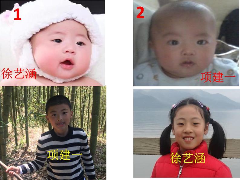 小学科学 教科版 二年级下册 《发现生长》部优课件第5页