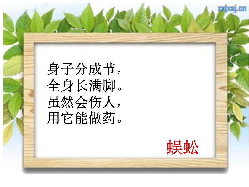 小学科学 青岛版 一年级下册 《土壤中的小动物》部优课件第1页
