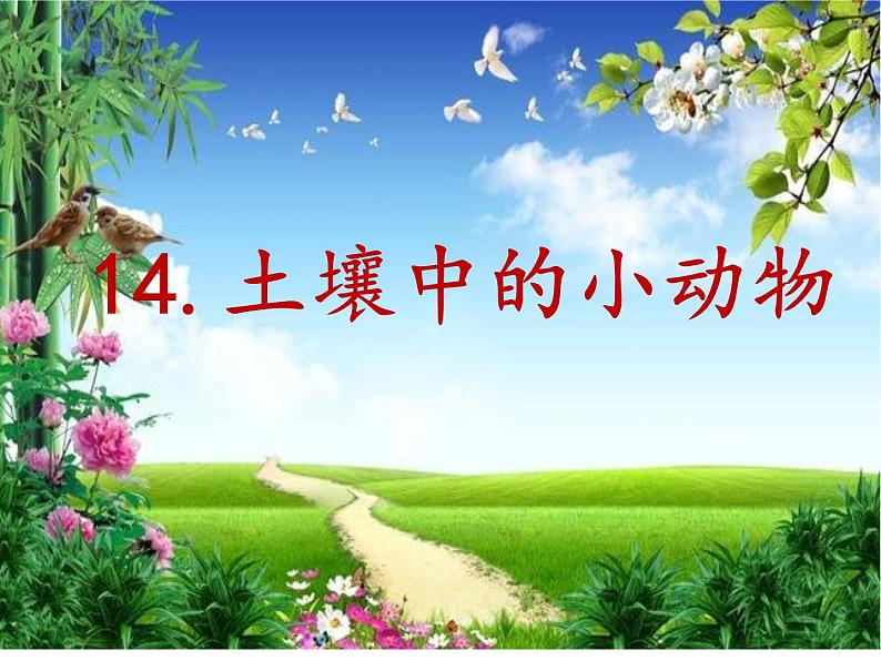 小学科学 青岛版 一年级下册 《土壤中的小动物》部优课件第2页