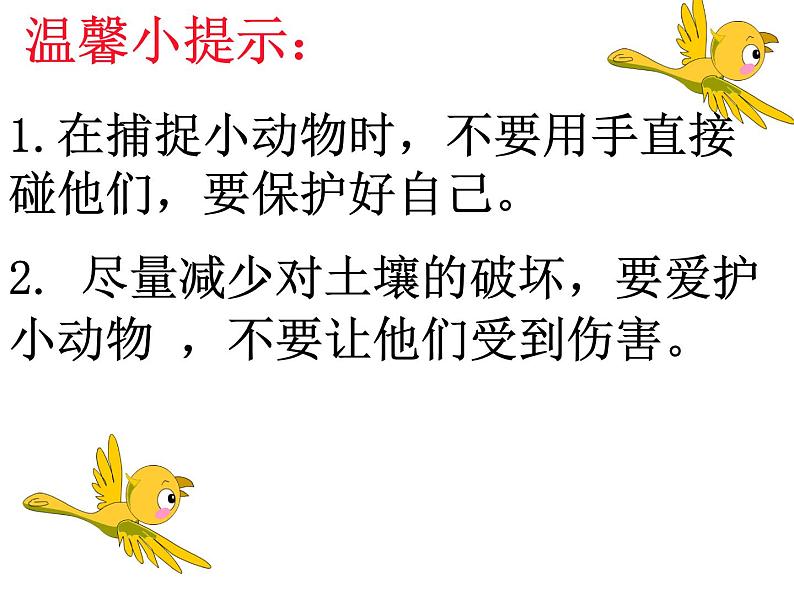 小学科学 青岛版 一年级下册 《土壤中的小动物》部优课件第4页