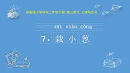 二年级下册科学课件-7.栽小葱  苏教版20220426