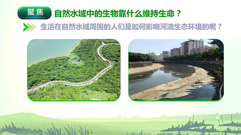 3.7《分析一个实际的环境问题》课件第3页