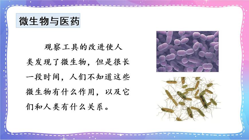 第7課 微生物與健康 課件第4頁