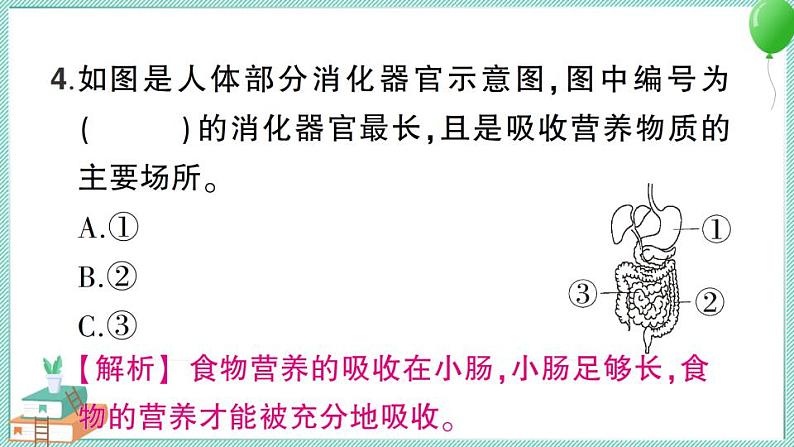 教科版科学四上 第8课 食物在身体里的旅行 习题PPT(含答案+动画)07