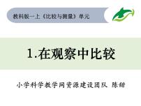 科学一年级上册1.在观察中比较教课ppt课件