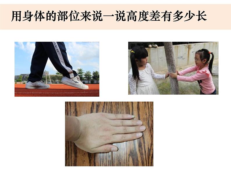 一上2-3《用手来测量》课件第5页