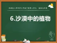 三年级下册科学6沙漠中的植物教学课件（苏教版）