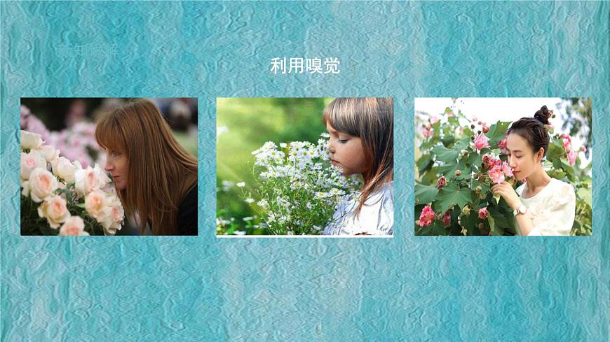 2.2《通過感官來發(fā)現(xiàn)》課件第6頁