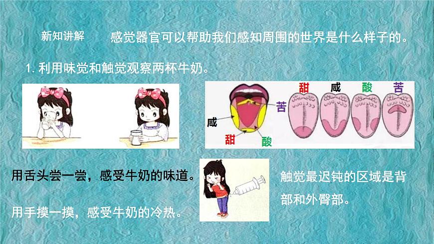 2.2《通過感官來發(fā)現(xiàn)》課件第8頁