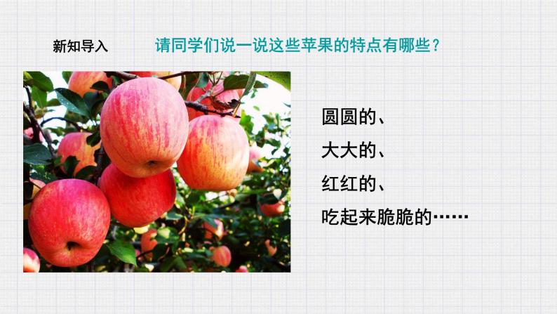 教科版科学二年级2.3《观察与比较》课件+视频（送教案）03