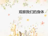 教科版科學(xué)二年級(jí)2.1《觀察我們的身體》課件+視頻（送教案）