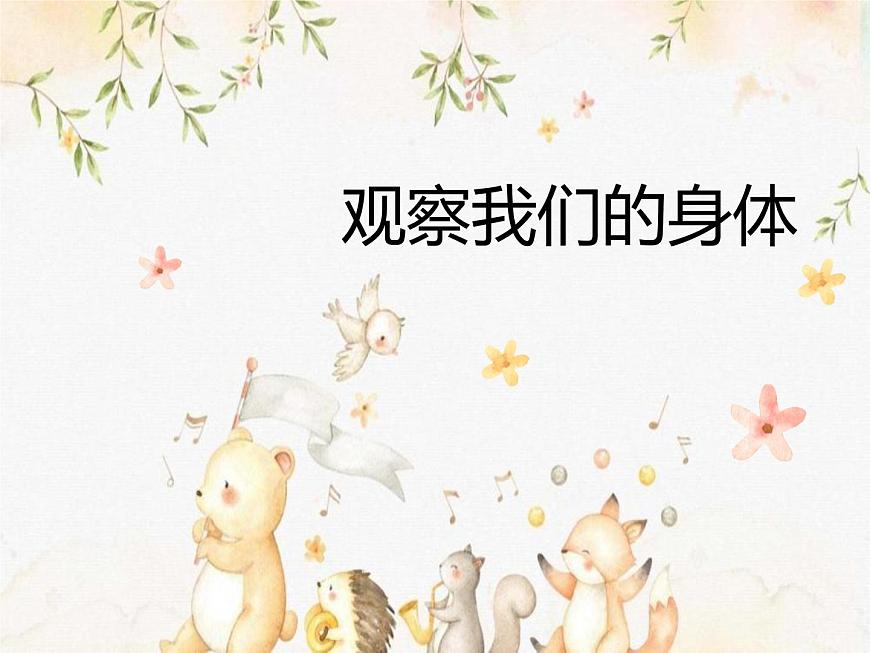 2.1《觀察我們的身體》課件第1頁