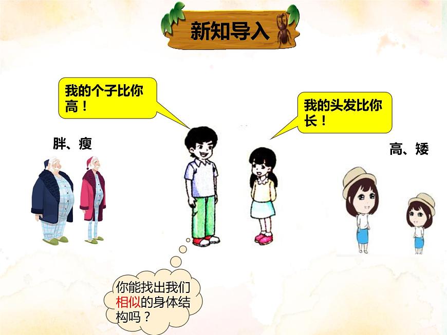 2.1《觀察我們的身體》課件第5頁