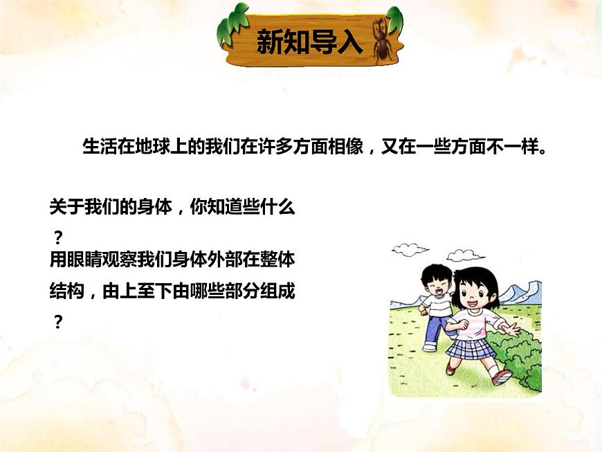 2.1《觀察我們的身體》課件第7頁