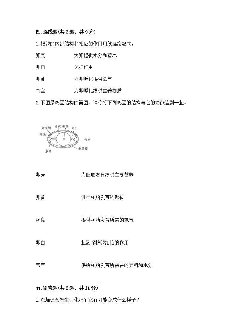 教科版三年级下下册第二单元《动物的一生》测试卷附参考答案(模拟题)03