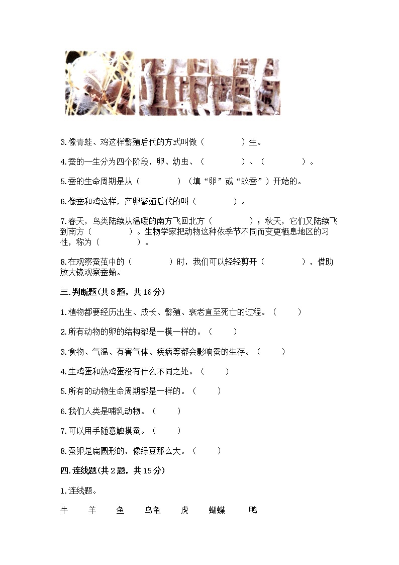 教科版三年级下下册第二单元《动物的一生》测试卷带答案(精练)03