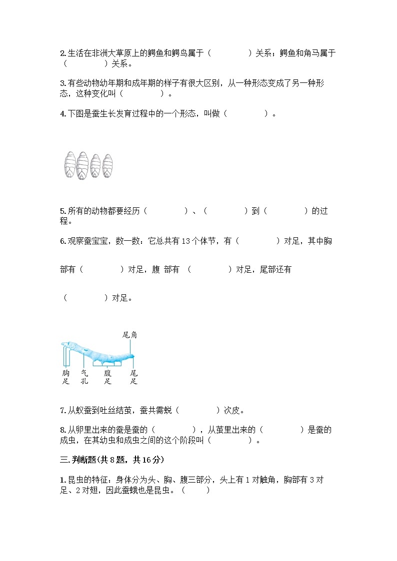 教科版三年级下下册第二单元《动物的一生》测试卷带答案(满分必刷)02